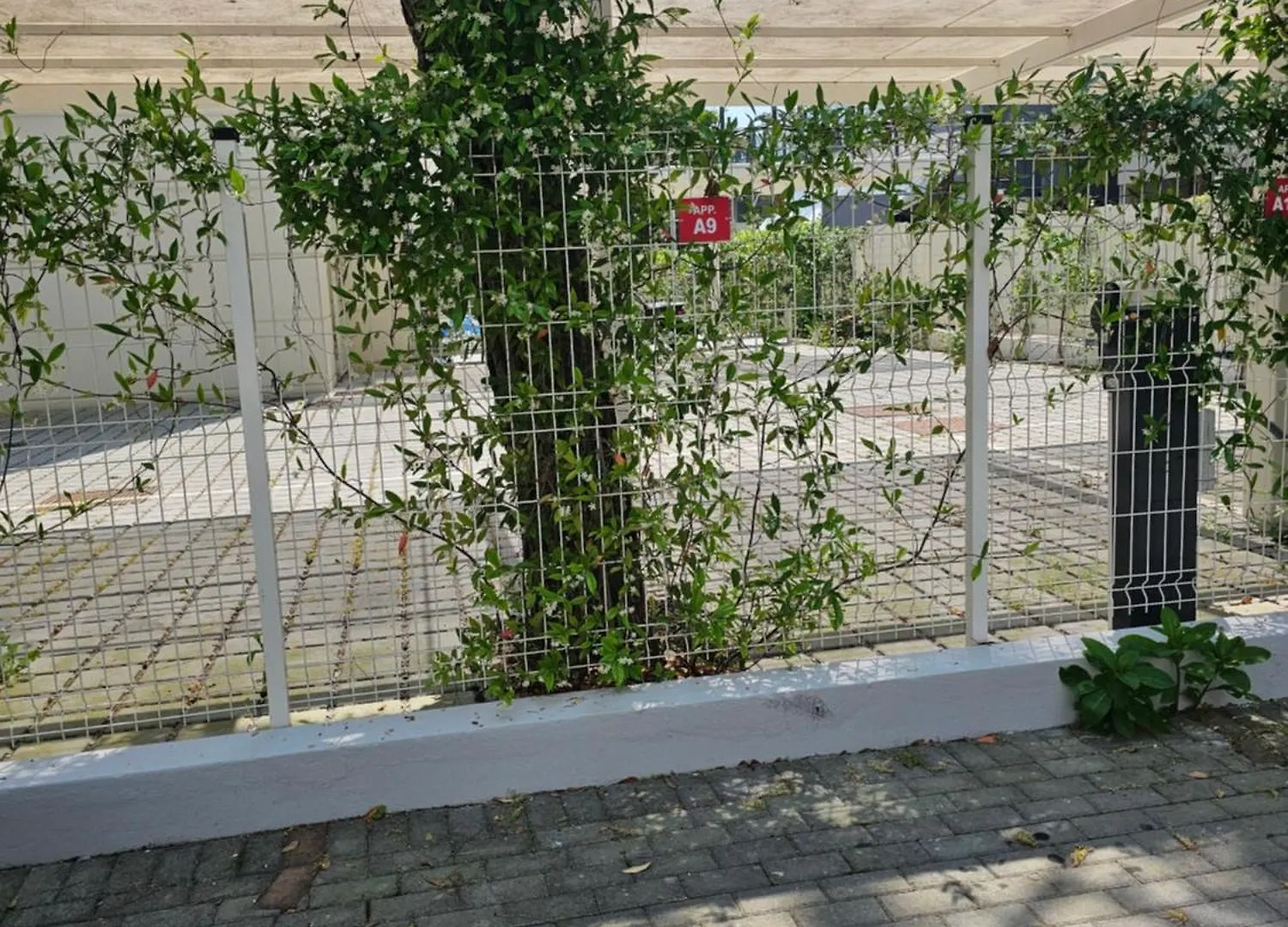Turritella Del Mar Apartment Lido di Jesolo
